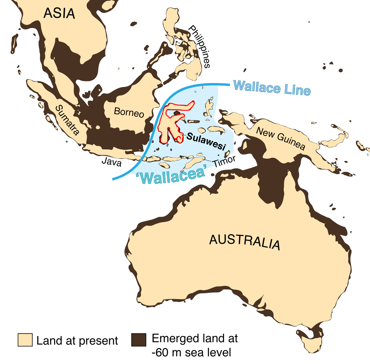 east-timor-migration-map